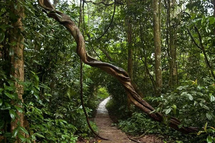 Foto del tour