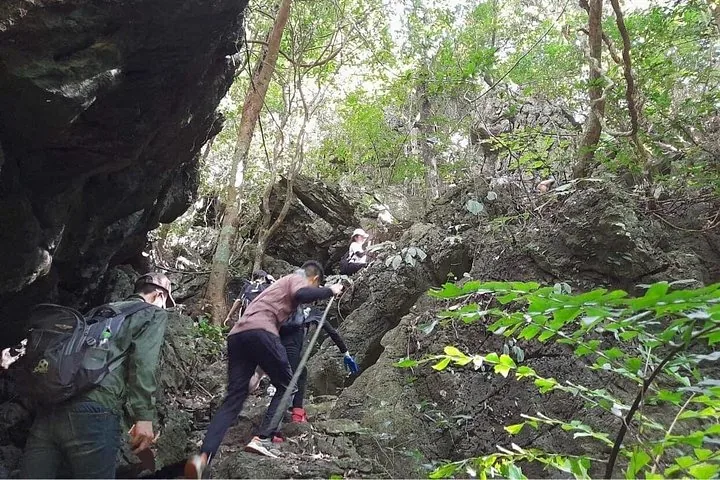 Eine Gruppe von Wanderern steigt einen rauen, felsigen Pfad in einem Wald hinauf